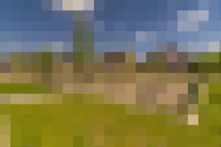 Ds. Wisseweg 29 Elspeet thumbnail 97