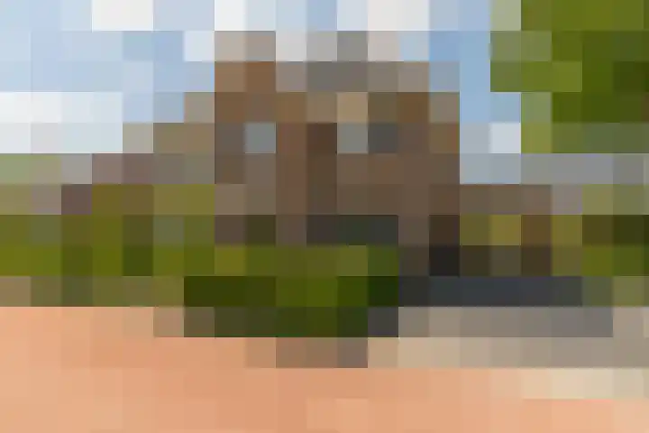Ds. Wisseweg 29 Elspeet thumbnail 98