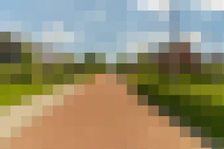 Ds. Wisseweg 29 Elspeet thumbnail 99