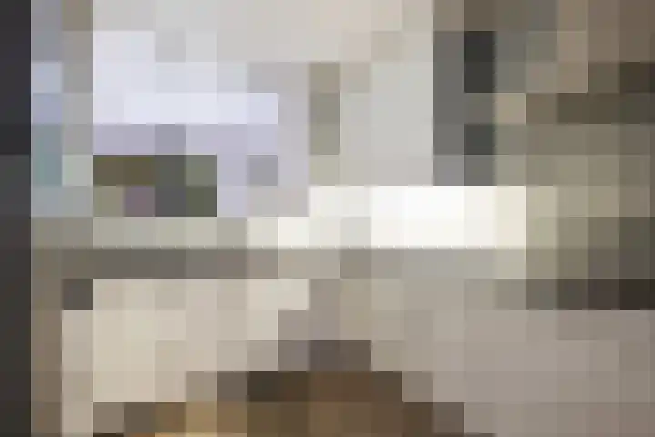 Ds. Witteveenlaan 11 Ermelo thumbnail 13