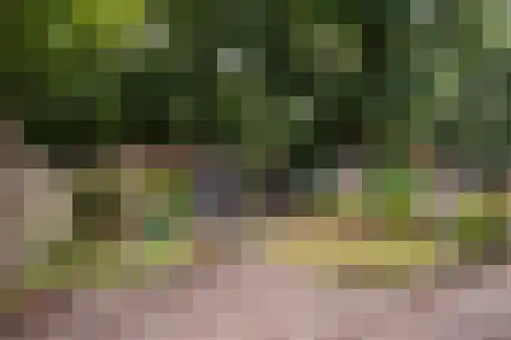 Ds. Witteveenlaan 11 Ermelo thumbnail 34