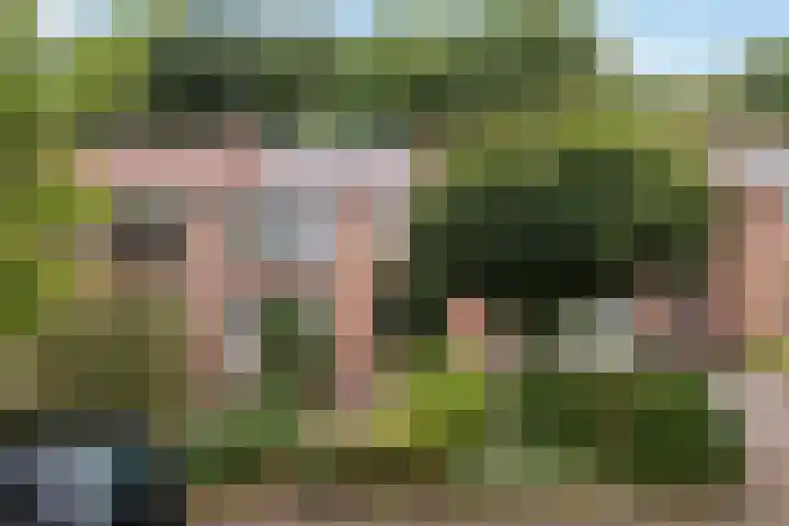 Ds. Witteveenlaan 11 Ermelo thumbnail 35