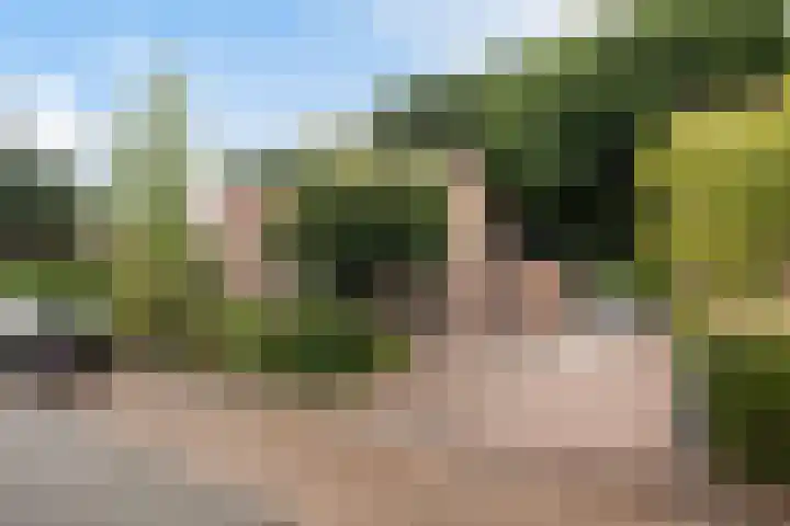 Ds. Witteveenlaan 11 Ermelo thumbnail 36
