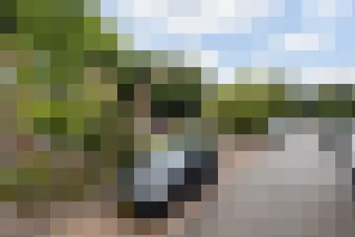 Ds. Witteveenlaan 11 Ermelo thumbnail 37