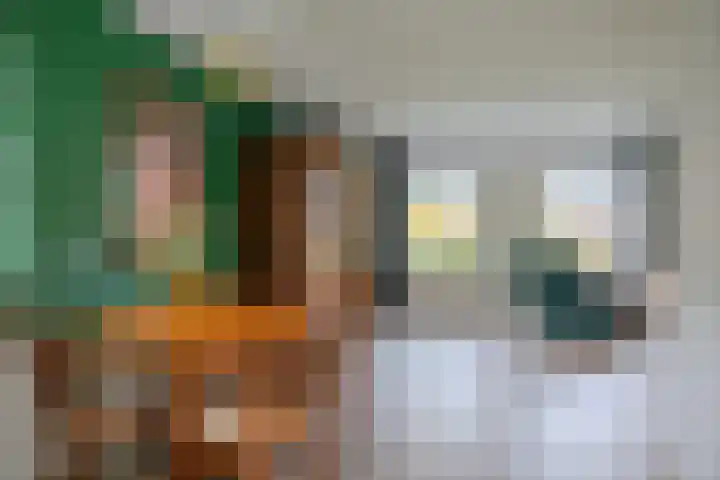 Ds. Zylstrawei 14 Twijzelerheide thumbnail 11