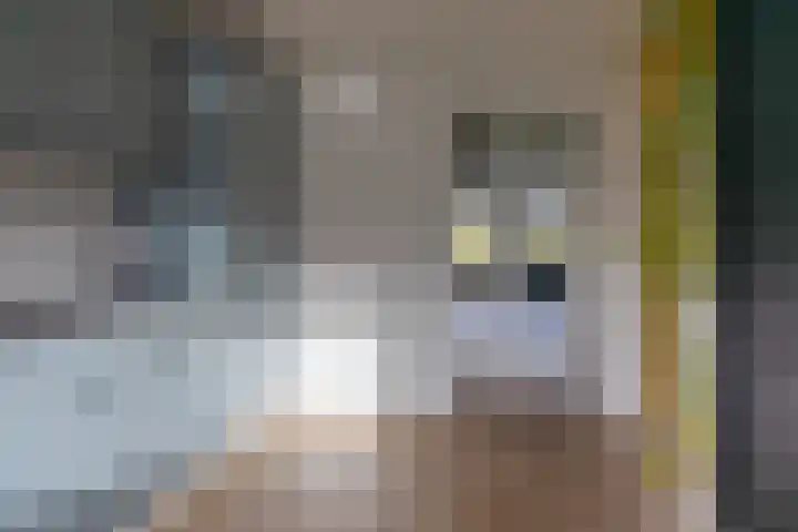 Ds. Zylstrawei 14 Twijzelerheide thumbnail 19
