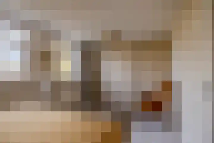 Ds. Zylstrawei 14 Twijzelerheide thumbnail 23