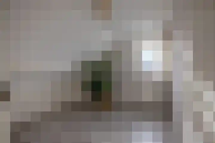 Ds. Zylstrawei 14 Twijzelerheide thumbnail 31