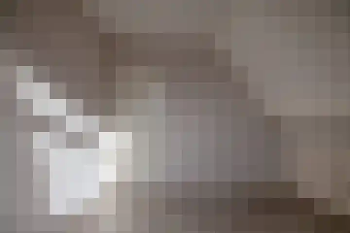 Ds. Zylstrawei 14 Twijzelerheide thumbnail 32