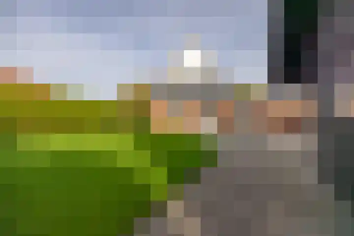 Ds. Zylstrawei 14 Twijzelerheide thumbnail 37