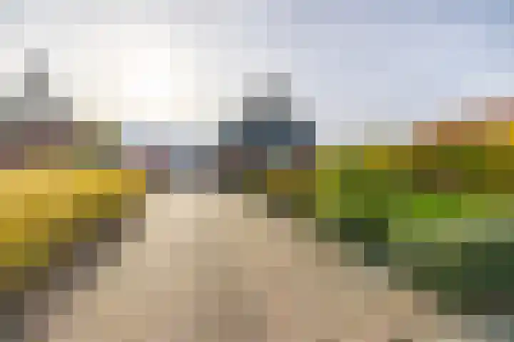Ds. Zylstrawei 14 Twijzelerheide thumbnail 4