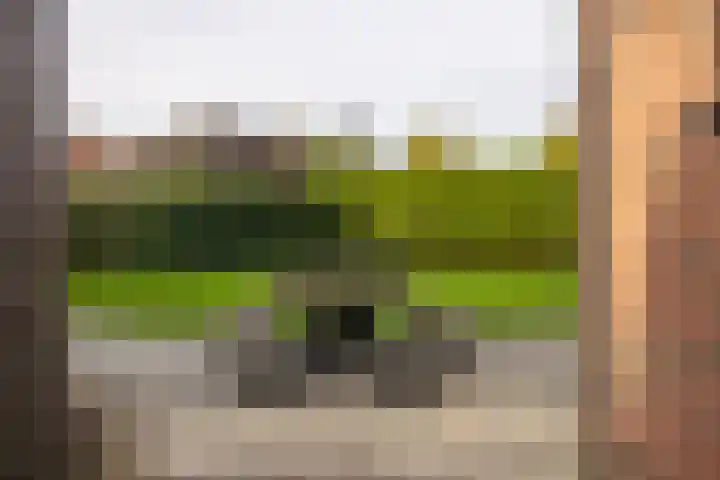 Ds. Zylstrawei 14 Twijzelerheide thumbnail 42