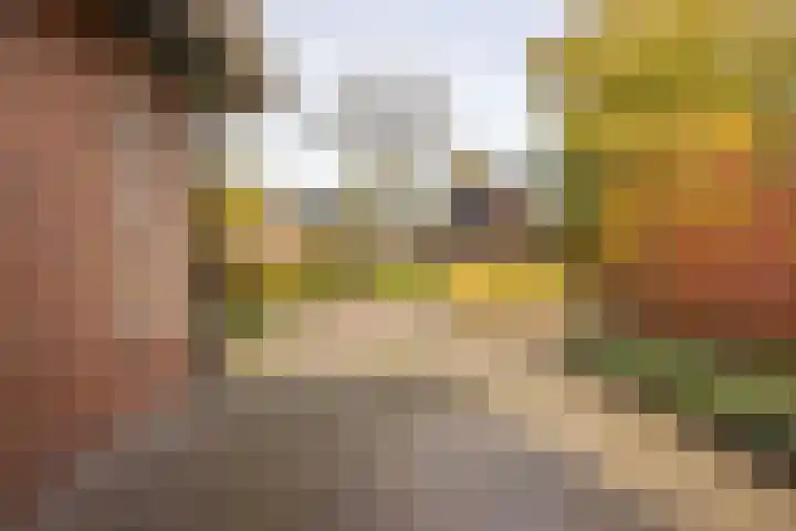 Ds. Zylstrawei 14 Twijzelerheide thumbnail 44