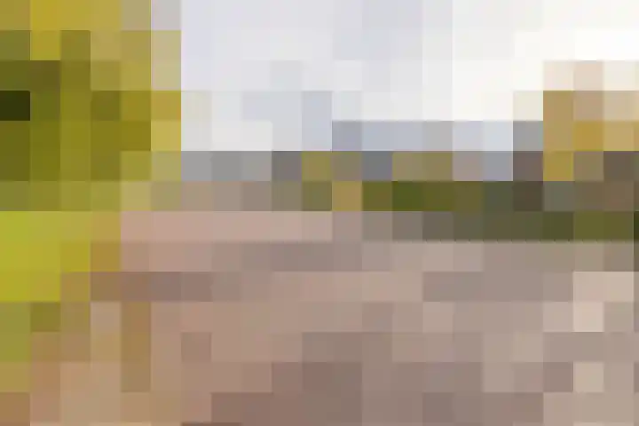 Ds. Zylstrawei 14 Twijzelerheide thumbnail 45