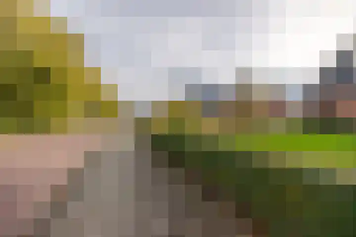 Ds. Zylstrawei 14 Twijzelerheide thumbnail 46