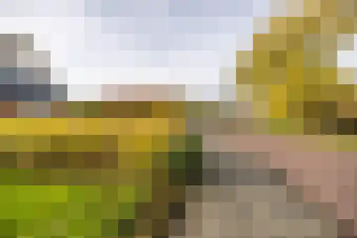 Ds. Zylstrawei 14 Twijzelerheide thumbnail 47