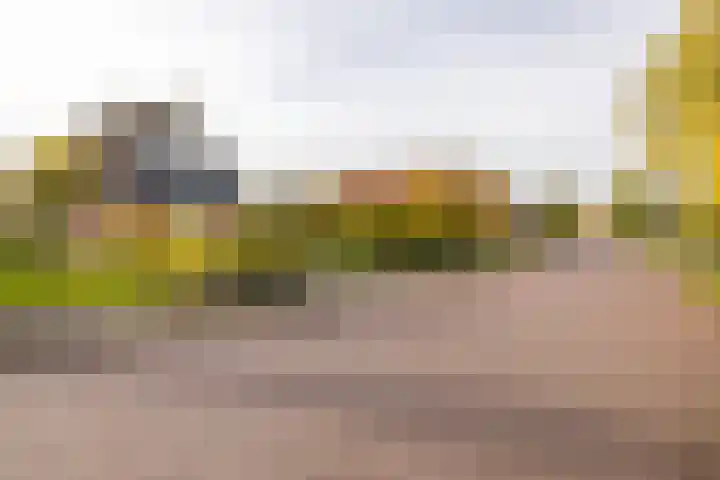 Ds. Zylstrawei 14 Twijzelerheide thumbnail 48