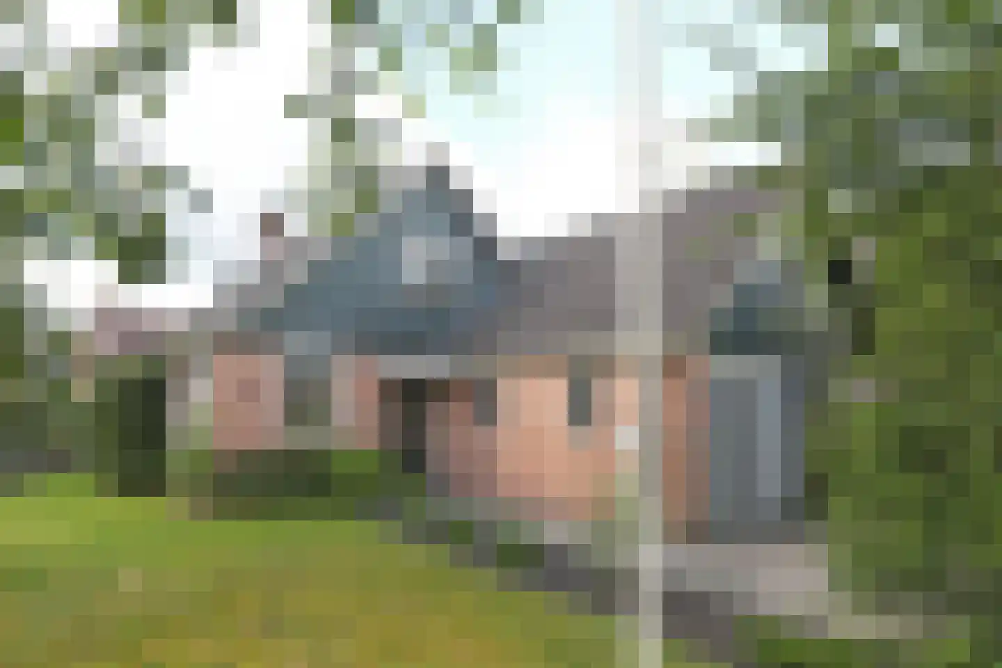 Ds. Zylstrawei 8 Twijzelerheide thumbnail 14