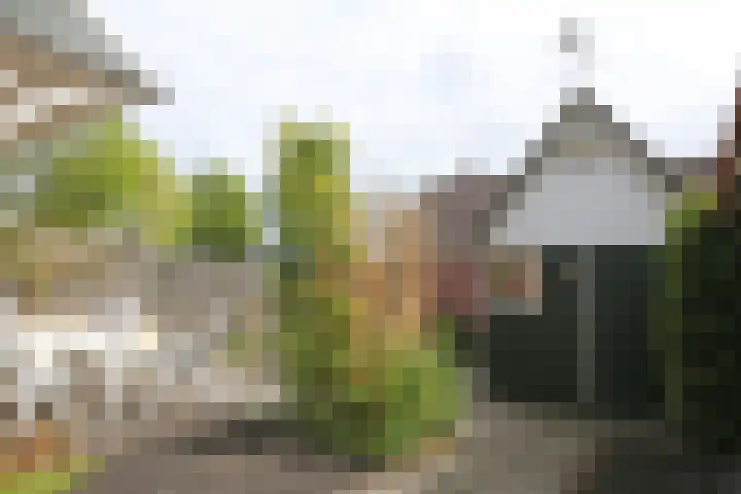 Ds. Zylstrawei 8 Twijzelerheide thumbnail 32