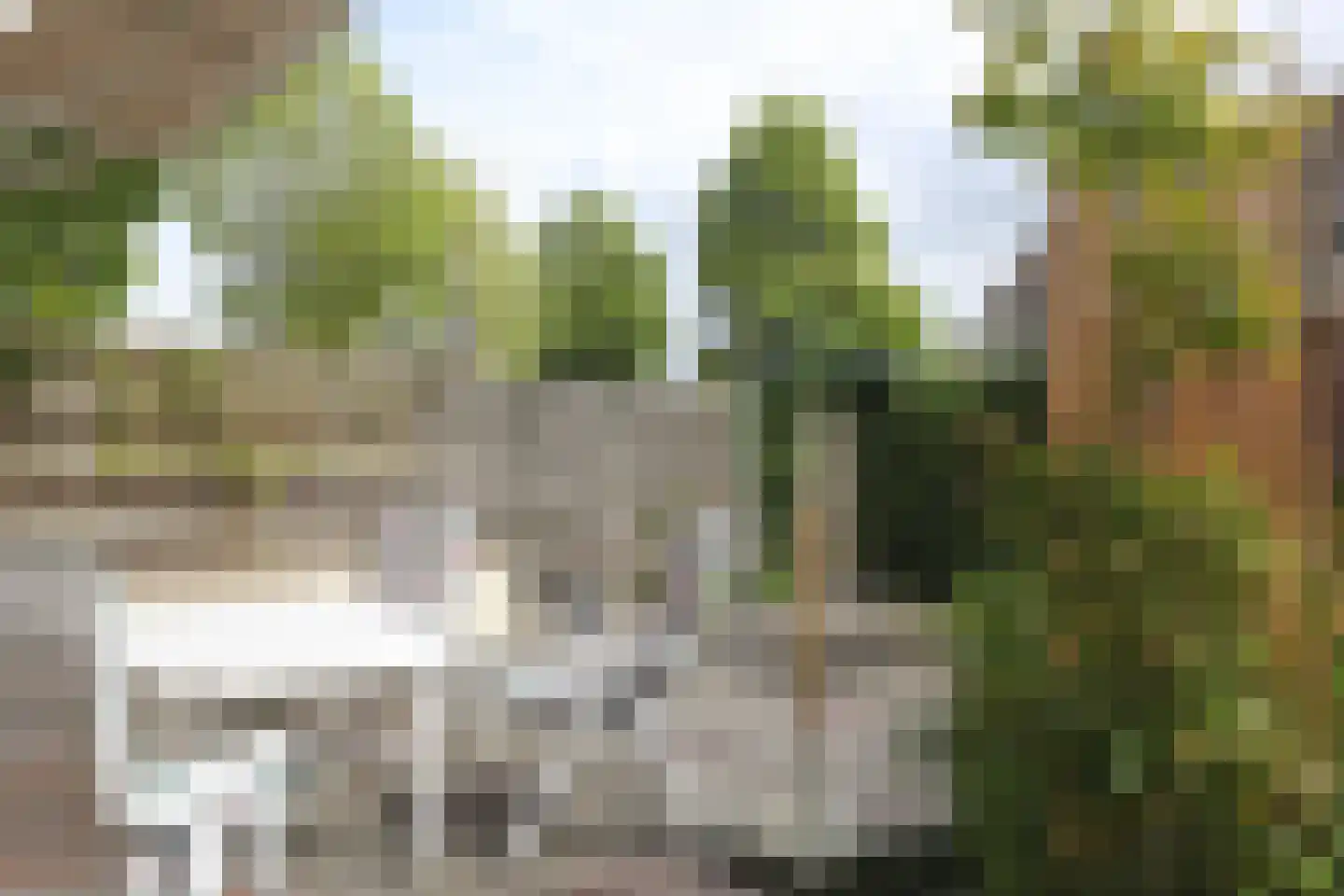 Ds. Zylstrawei 8 Twijzelerheide thumbnail 38