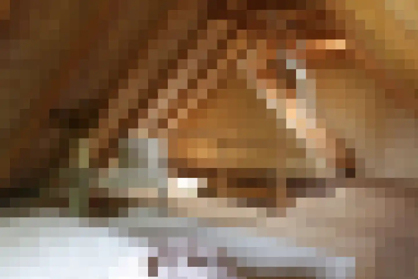 Ds. Zylstrawei 8 Twijzelerheide thumbnail 43