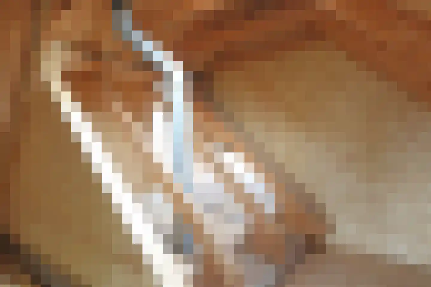 Ds. Zylstrawei 8 Twijzelerheide thumbnail 44