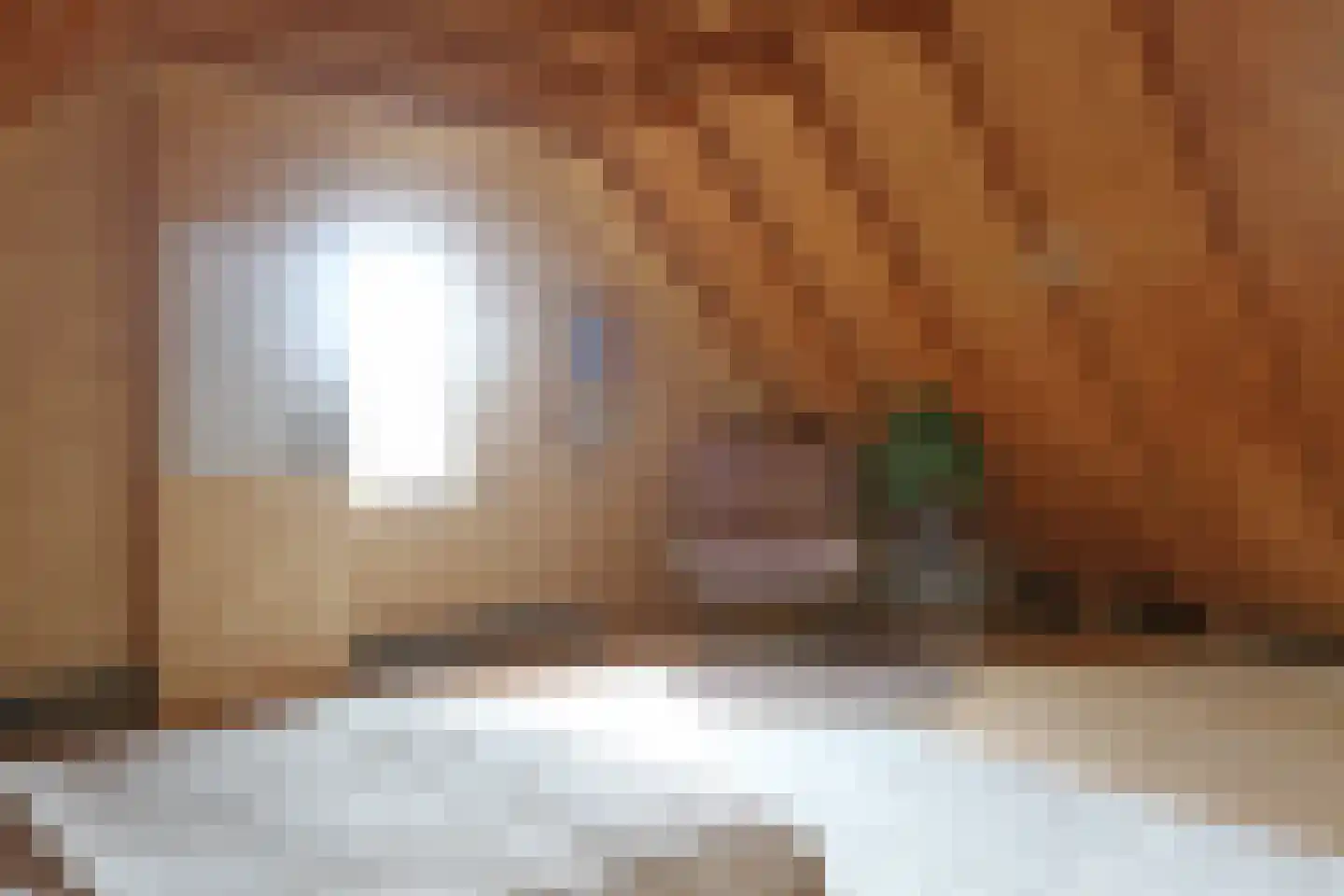 Ds. Zylstrawei 8 Twijzelerheide thumbnail 49