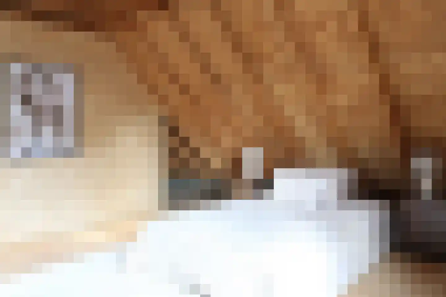 Ds. Zylstrawei 8 Twijzelerheide thumbnail 50