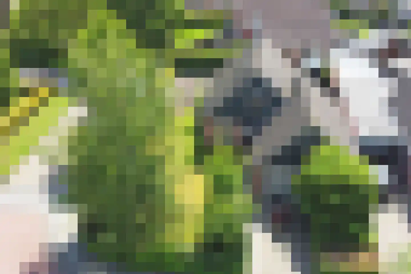 Ds. Zylstrawei 8 Twijzelerheide thumbnail 51