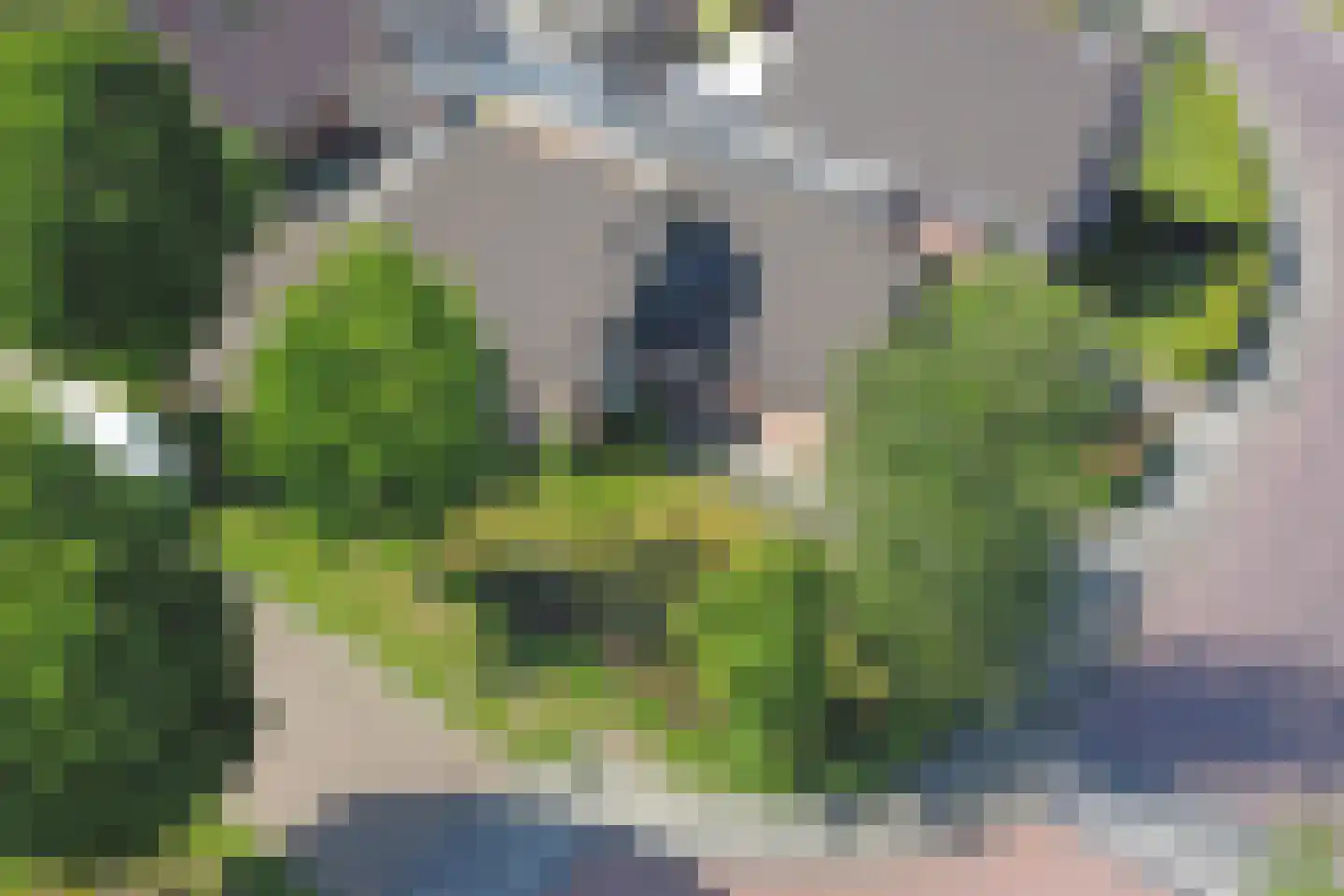 Ds. Zylstrawei 8 Twijzelerheide thumbnail 52