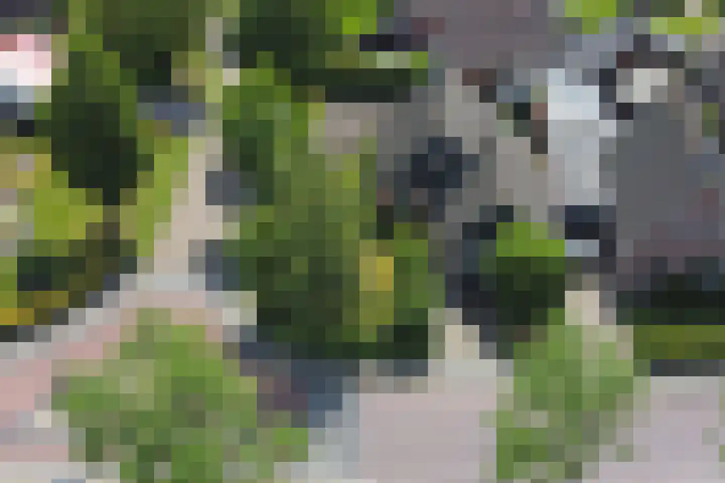 Ds. Zylstrawei 8 Twijzelerheide thumbnail 53