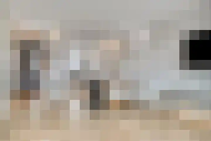 Du Meelaan 177 Zoetermeer thumbnail 11