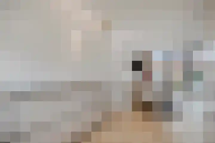 Du Meelaan 177 Zoetermeer thumbnail 14