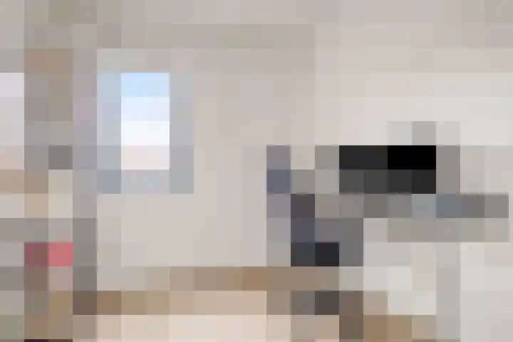 Du Meelaan 177 Zoetermeer thumbnail 25
