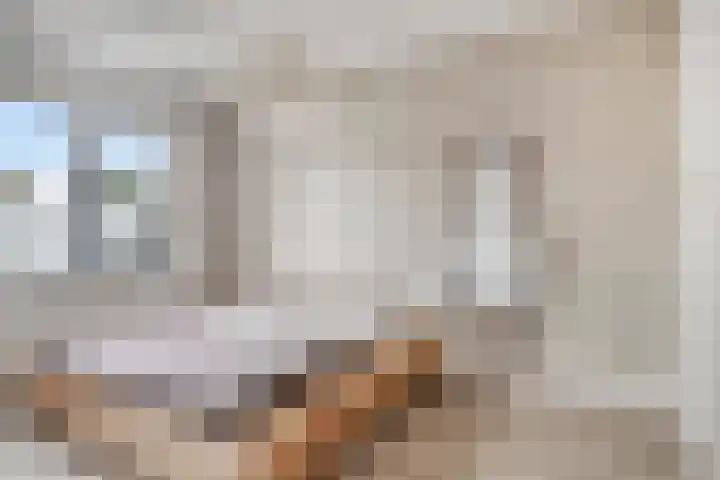 Du Meelaan 177 Zoetermeer thumbnail 31