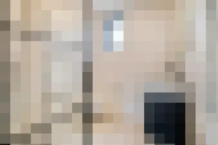 Du Meelaan 177 Zoetermeer thumbnail 4
