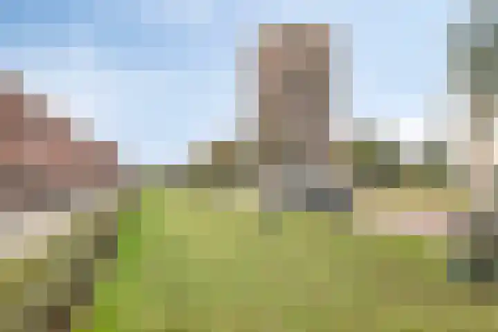 Du Meelaan 177 Zoetermeer thumbnail 41
