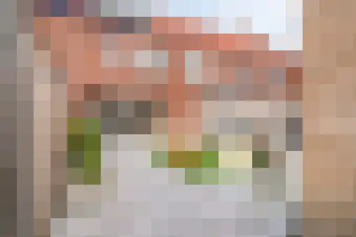 Du Meelaan 177 Zoetermeer thumbnail 6