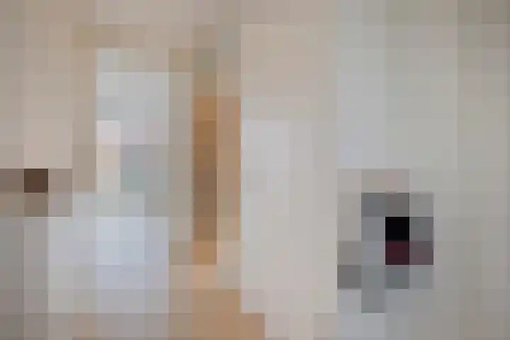 Du Meelaan 177 Zoetermeer thumbnail 8