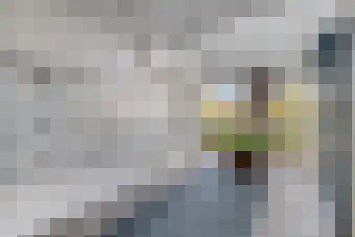 Du Meelaan 196 Zoetermeer thumbnail 10