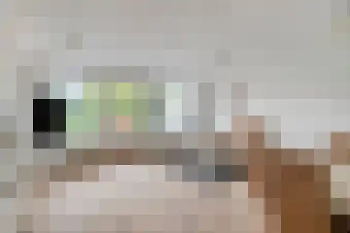 Du Meelaan 196 Zoetermeer thumbnail 12