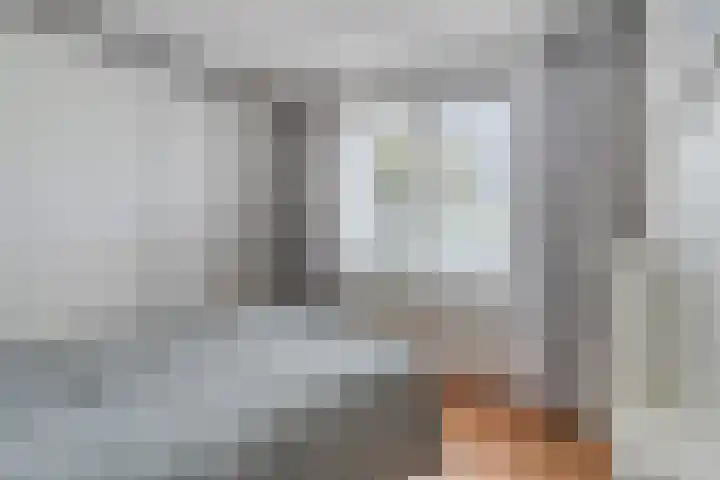 Du Meelaan 196 Zoetermeer thumbnail 18