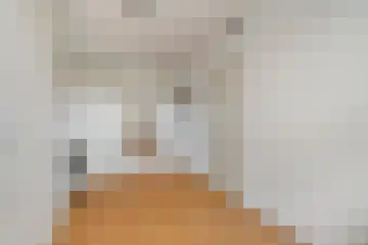 Du Meelaan 196 Zoetermeer thumbnail 22