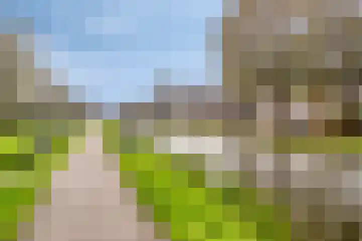 Du Meelaan 196 Zoetermeer thumbnail 24