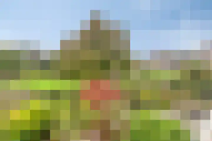 Du Meelaan 196 Zoetermeer thumbnail 5