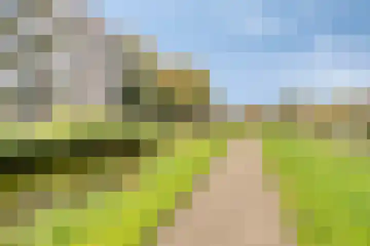 Du Meelaan 196 Zoetermeer thumbnail 8