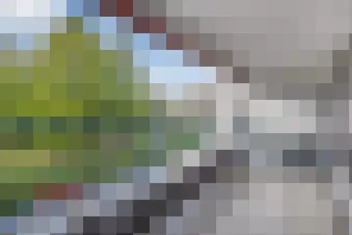 Du Meelaan 208 Zoetermeer thumbnail 14