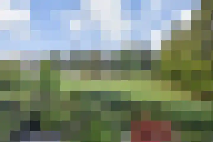Du Meelaan 208 Zoetermeer thumbnail 15