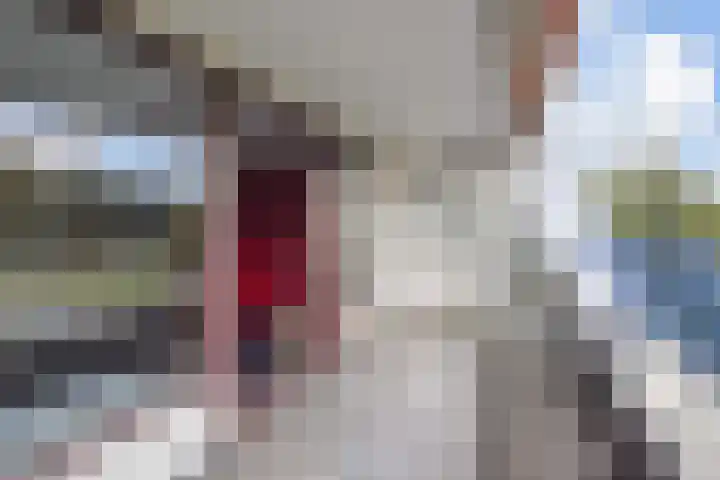 Du Meelaan 208 Zoetermeer thumbnail 16