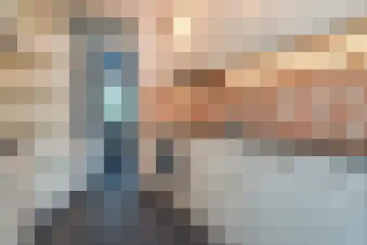 Du Meelaan 208 Zoetermeer thumbnail 19